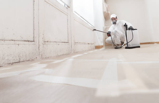 24/7 Emergency Black Mold Removal experts in Fairview, OR