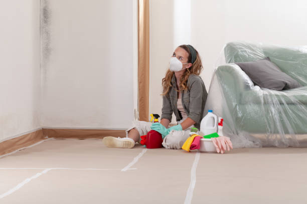 Reliable Black Mold Removal contractor in Fairview, OR by WQB Mold Removal